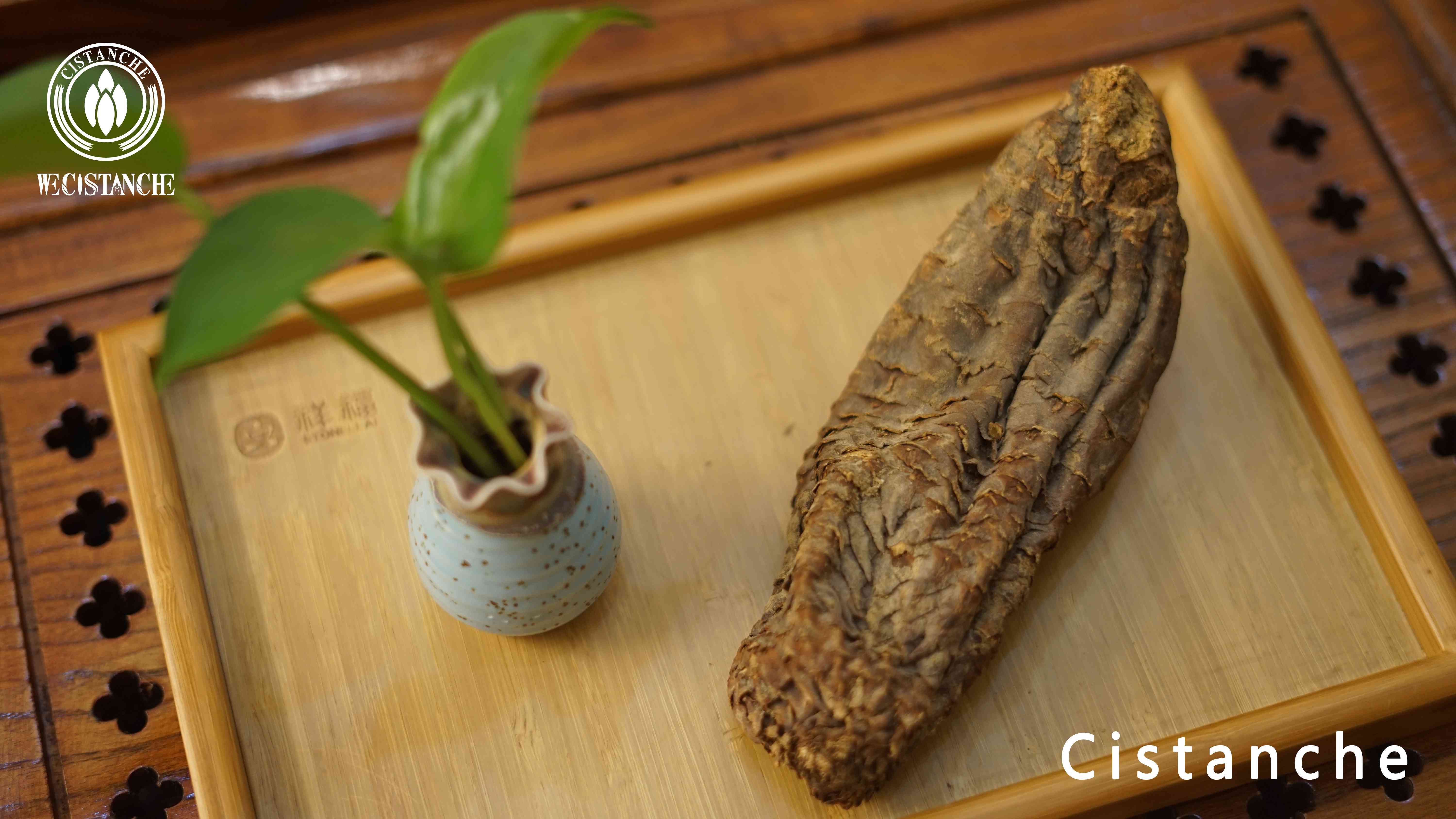 Dried Cistanche