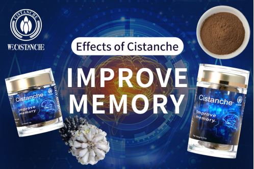 benefits of cistanche: learning and memory ability and treat Alzheimer's Disease (AD) benefits of cistanche: learning and memory ability and treat Alzheimer's Disease (AD)