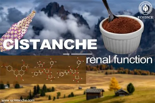 type 1 glycogen storage disease affects renal function