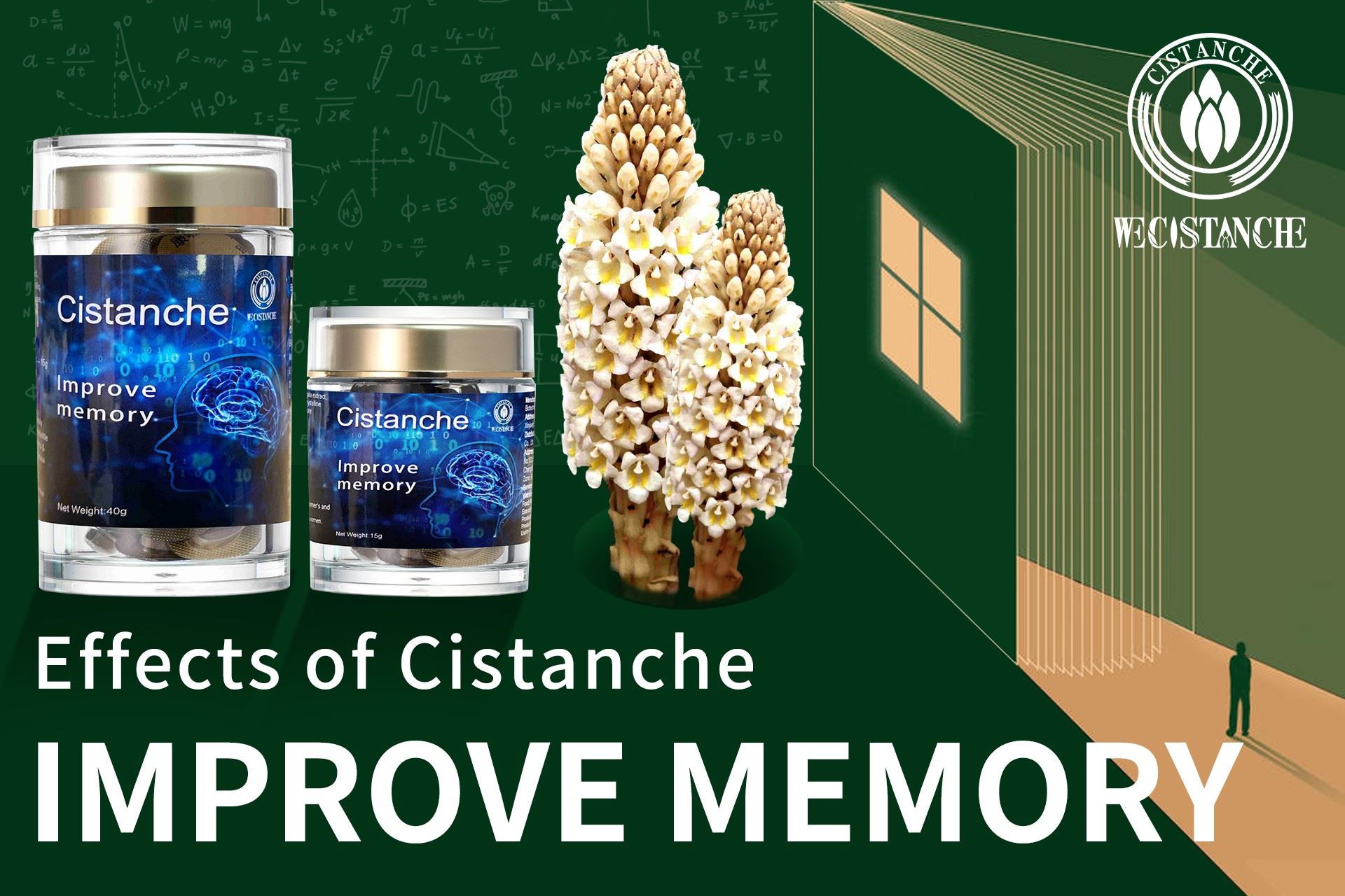 Cistanche supplement for improving memory 