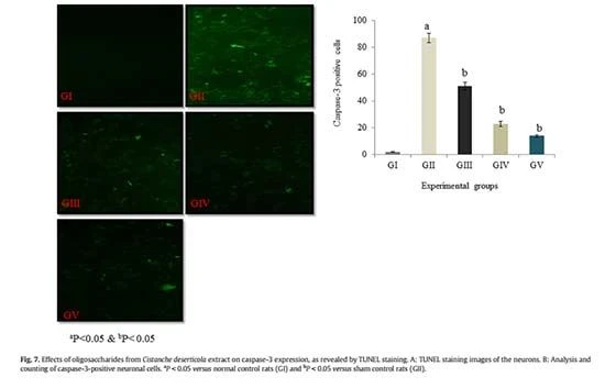 figure 7-Cistanche deserticola has an Anti-inflammatory function