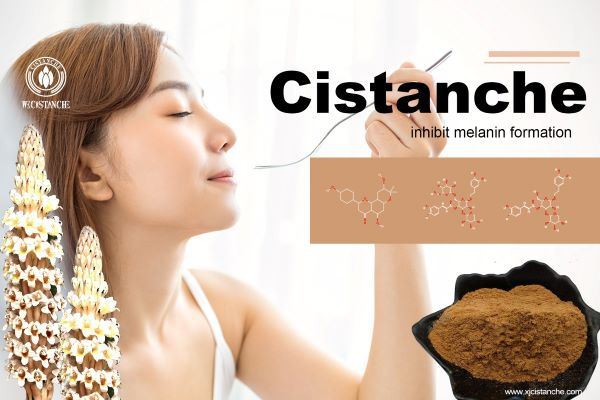 inhibit melanin formation