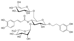 echinacoside