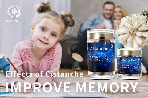 Cistanche-improve memory13