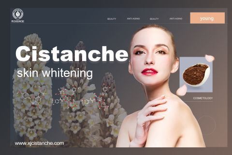 cistanche -whitening effect12