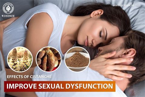 effects of cistanche：improve sexual dysfunction5