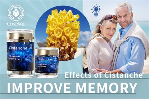 effects of cistanche improve memory (32)
