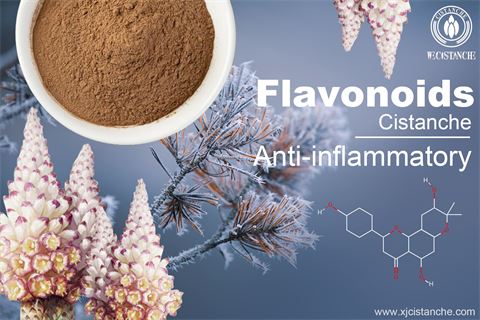 flavonoids anti-inflammatory flavonoids anti-inflammatory