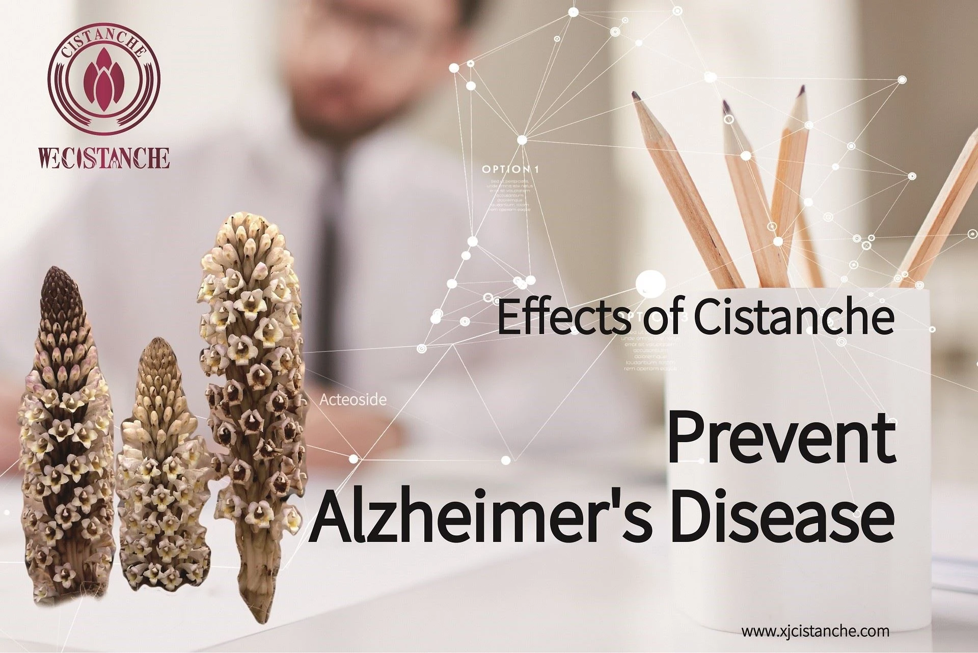 best herb for alzheimer's disease best herb for alzheimer's disease