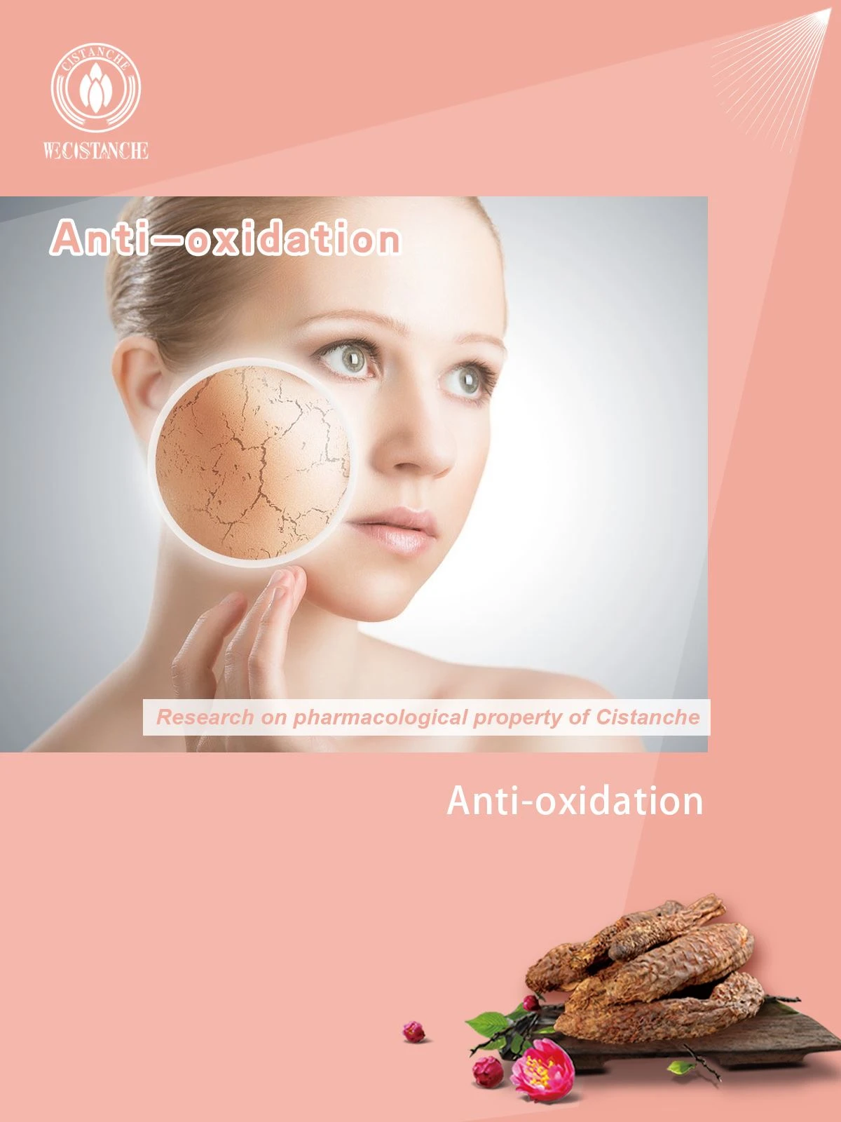 organic cistanche help anti-oxidation