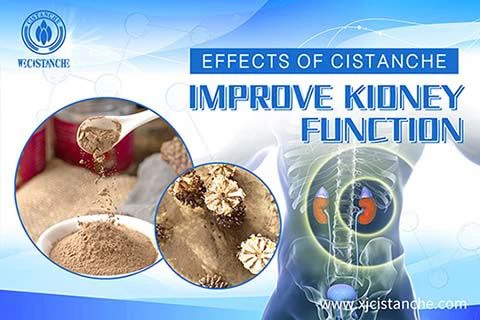 BOTANICAL HOLISTIC CARE FOR Kidney disease