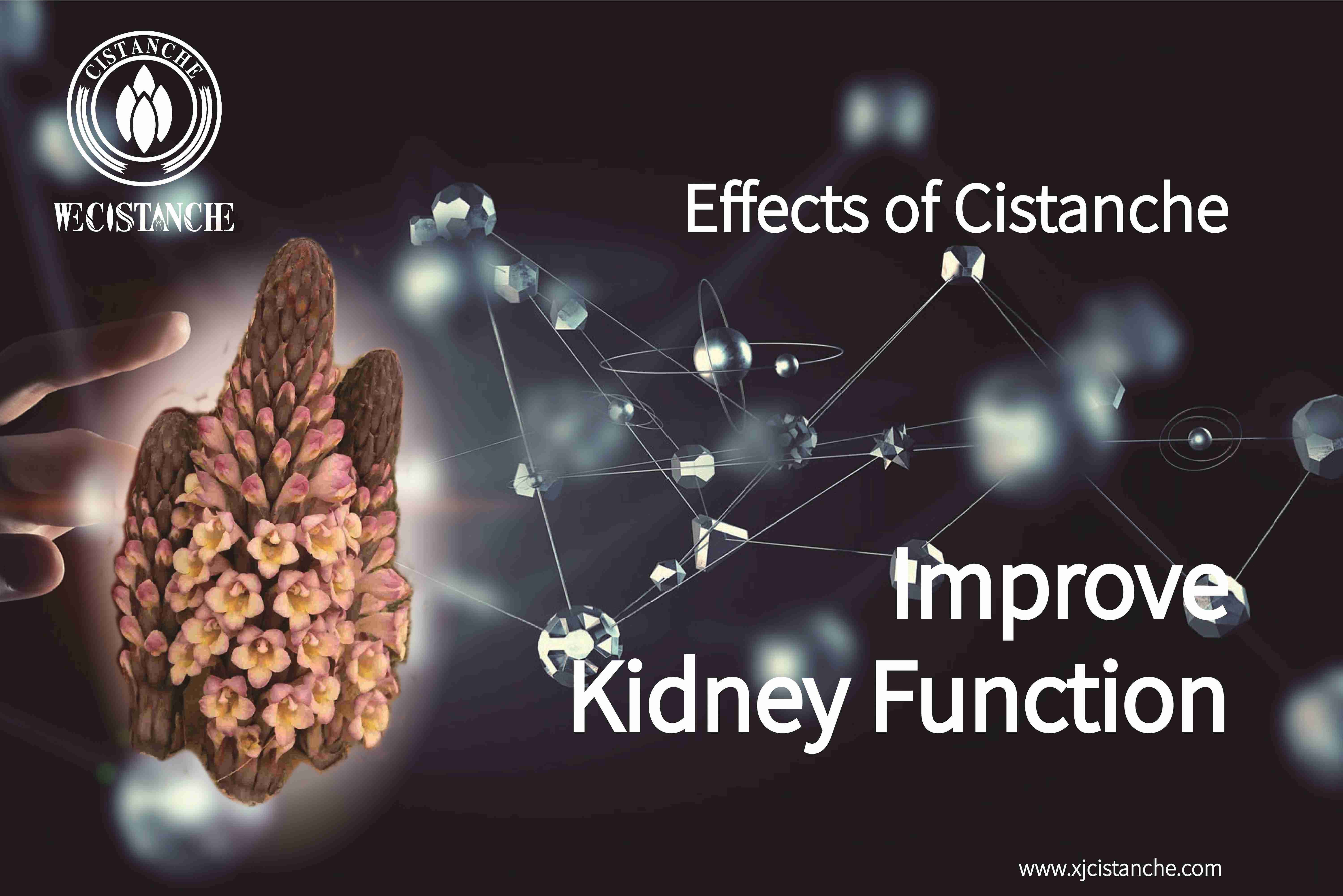 how to treat kidney disease how to treat kidney disease