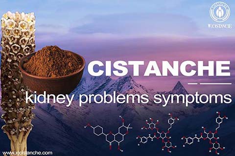 best chinese medecine for renal failure 