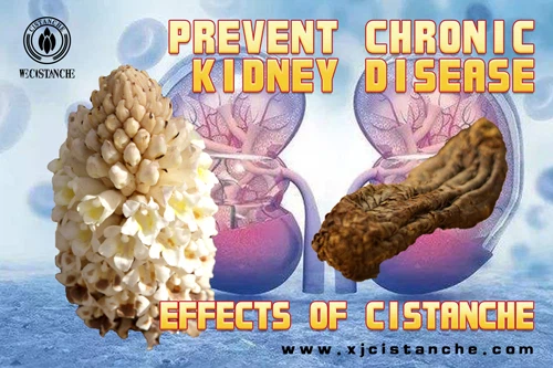 prevent kidney disease