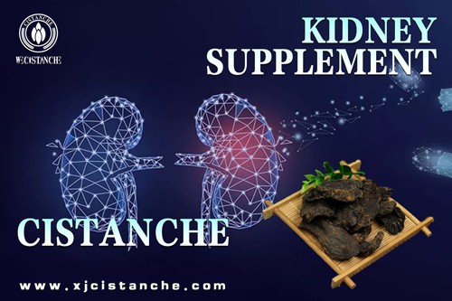 the best kidney supplement