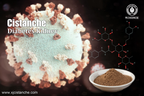 invigorate the kidney cistanche