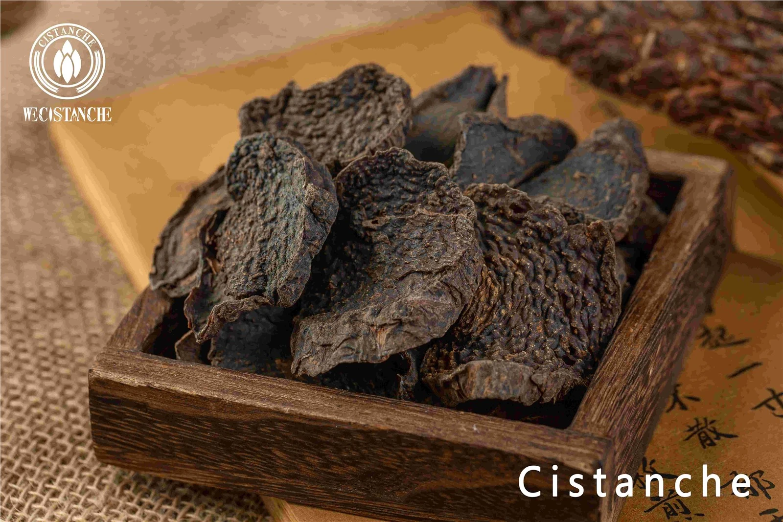 cistanche stem