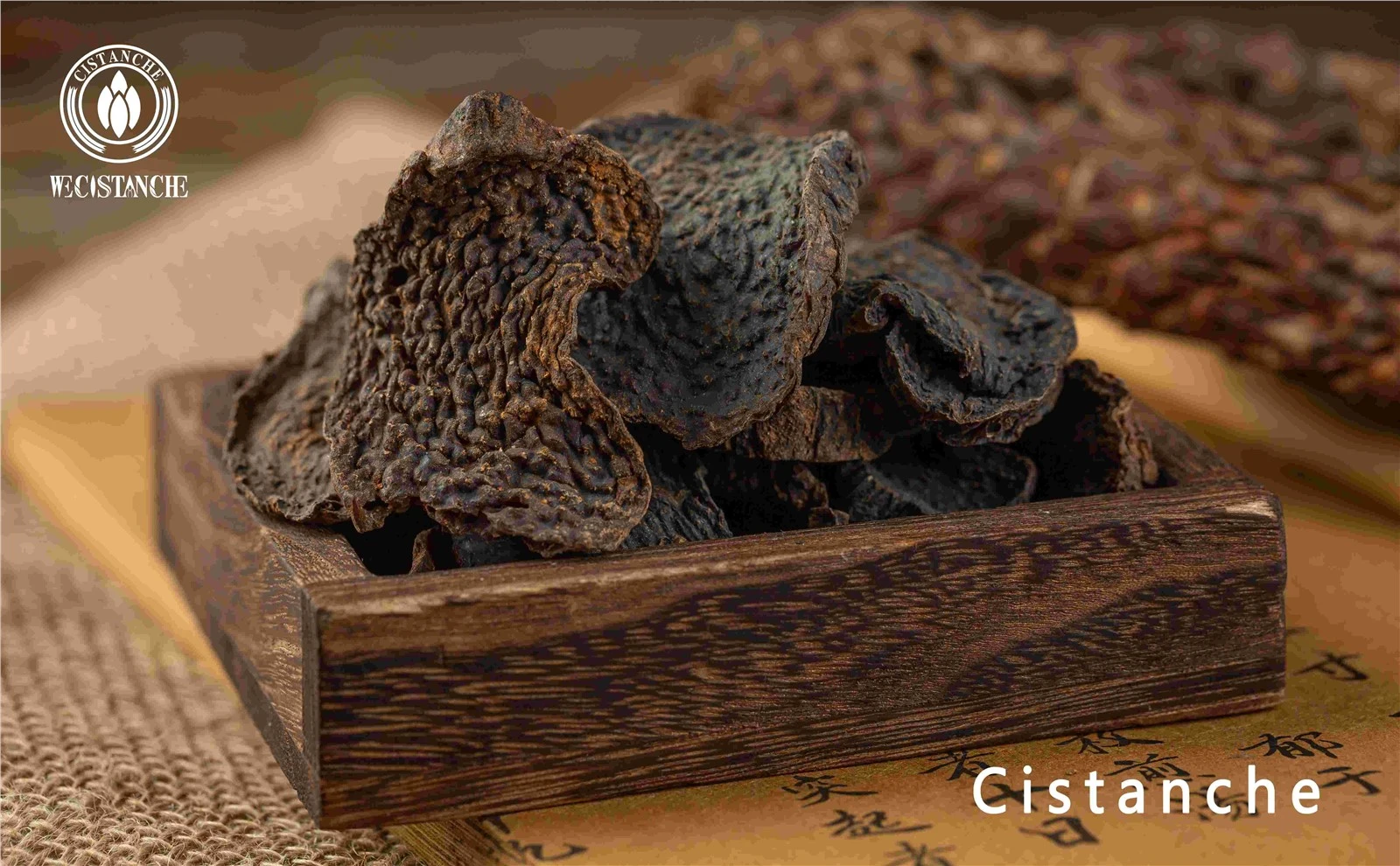 Cistanches Benefits Cistanches Benefits