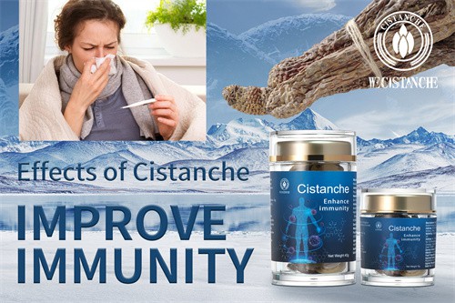 cistanche dosagem