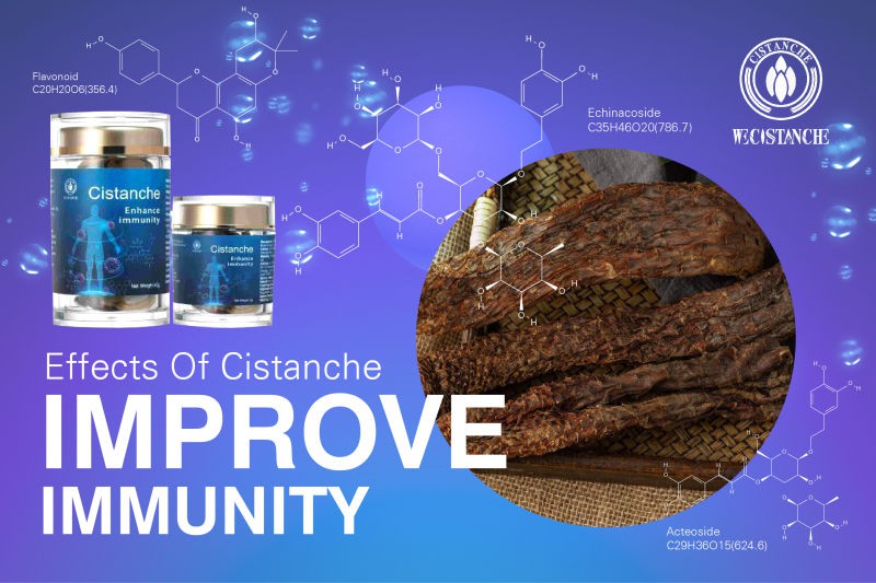 herba cistanches side effects