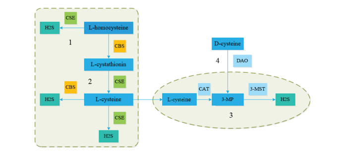 Figure 1 Figure 1