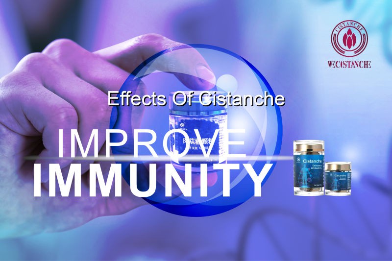 where to buy cistanche