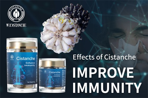 cistanche capsules