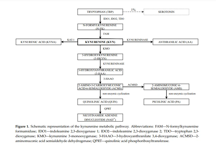 when to take cistanche