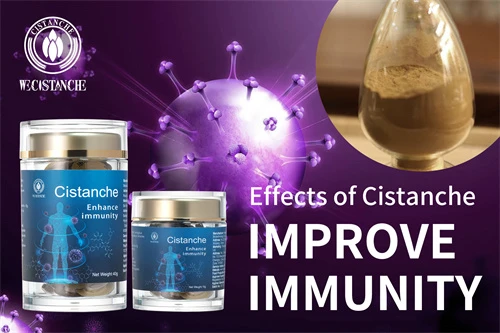 cistanche supplement benefits-increase immunity