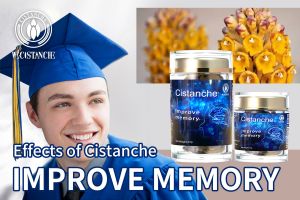 improving brain function improving brain function