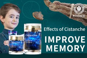 ways to improve memory