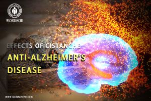 supplements to boost memory