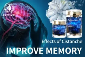 ways to improve memory ways to improve memory
