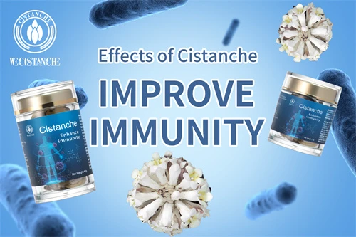 cistanche for improving immunity cistanche for improving immunity