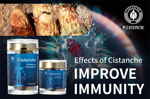 Cistanche tubulosa extract Cistanche tubulosa extract
