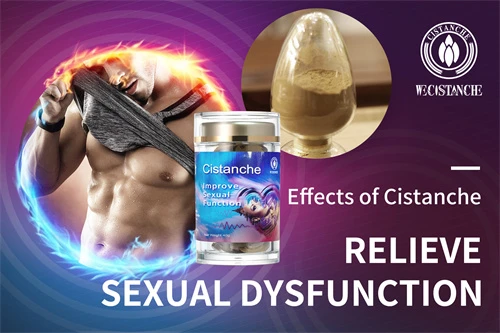 cistanche tubulosa for enhancing kidney function and improving sexual health cistanche tubulosa for enhancing kidney function and improving sexual health