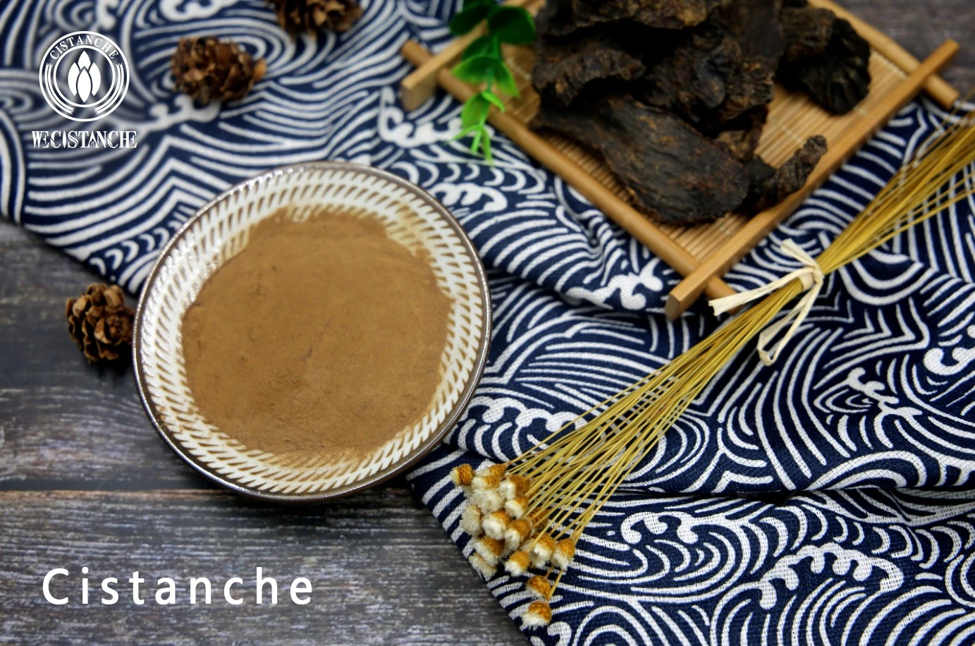 Cistanche tubulosa for reduce fatigue and stress Cistanche tubulosa for reduce fatigue and stress