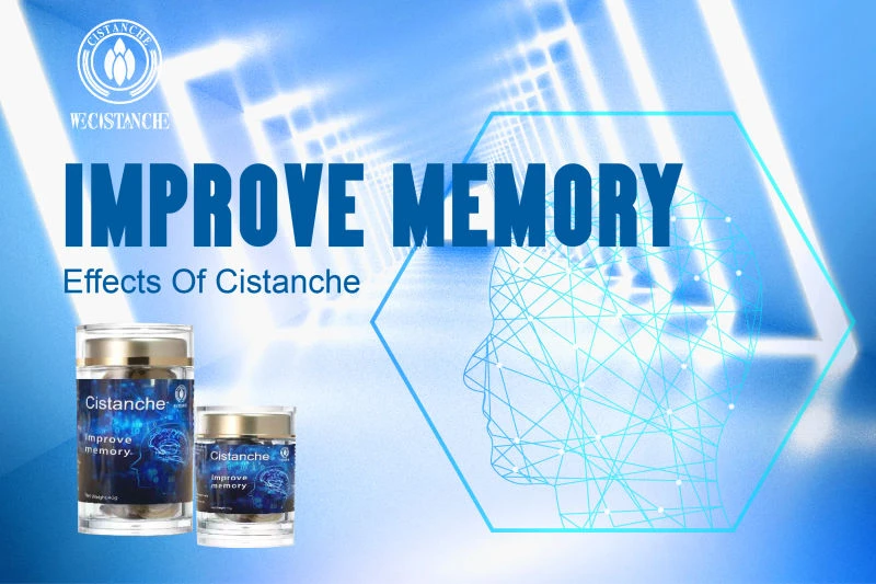 cistanche tubulosa for improving memory