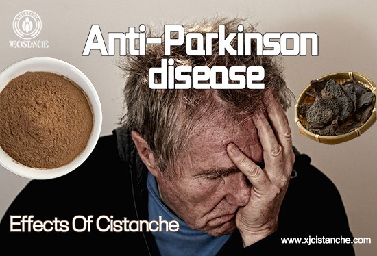 Anti-Parkinson's disease 2