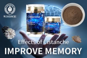 increase memory increase memory