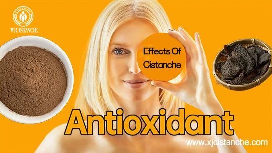Desert living cistanche-Antioxidant Desert living cistanche-Antioxidant