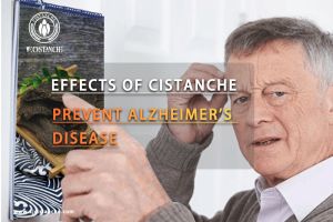 improve working memory improve working memory