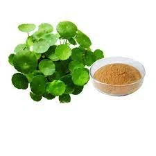 Centella Asiatica ekstrakta pulveris