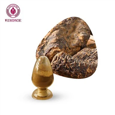 Flavonoīdi