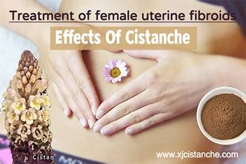 cistanche effect